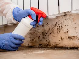 Asbestos and Lead Testing During Mold Inspection in Pegram, TN